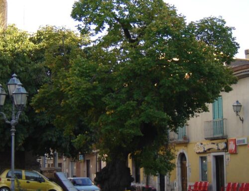 Fragneto Monforte