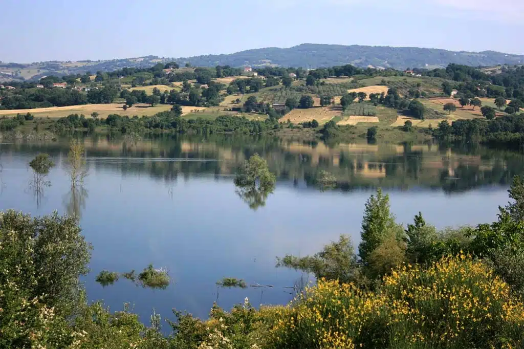oasi campolattaro